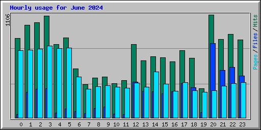 Hourly usage for June 2024