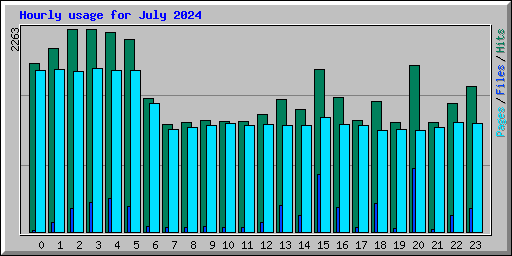 Hourly usage for July 2024