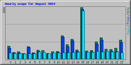 Hourly usage for August 2024