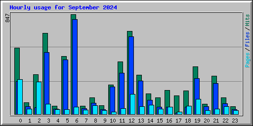 Hourly usage for September 2024