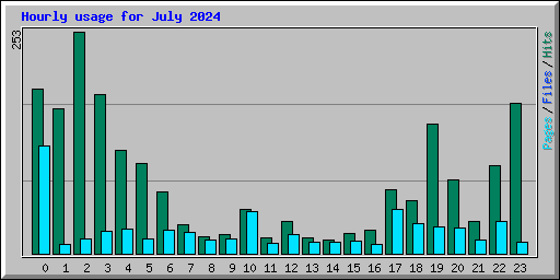 Hourly usage for July 2024