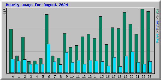 Hourly usage for August 2024